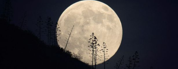 Bad Moon Rising; The 2015 Survey Dates are Selected